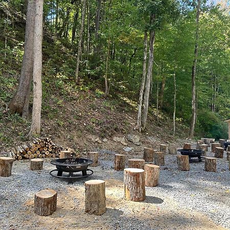 Cozy Cove Retreat W Lake View Hot Tub Firepit Дэндридж Экстерьер фото