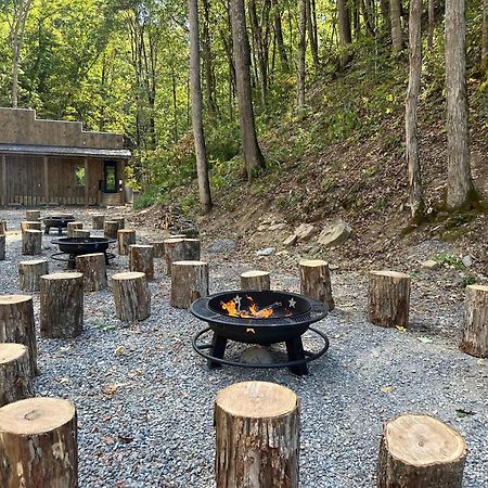 Cozy Cove Retreat W Lake View Hot Tub Firepit Дэндридж Экстерьер фото