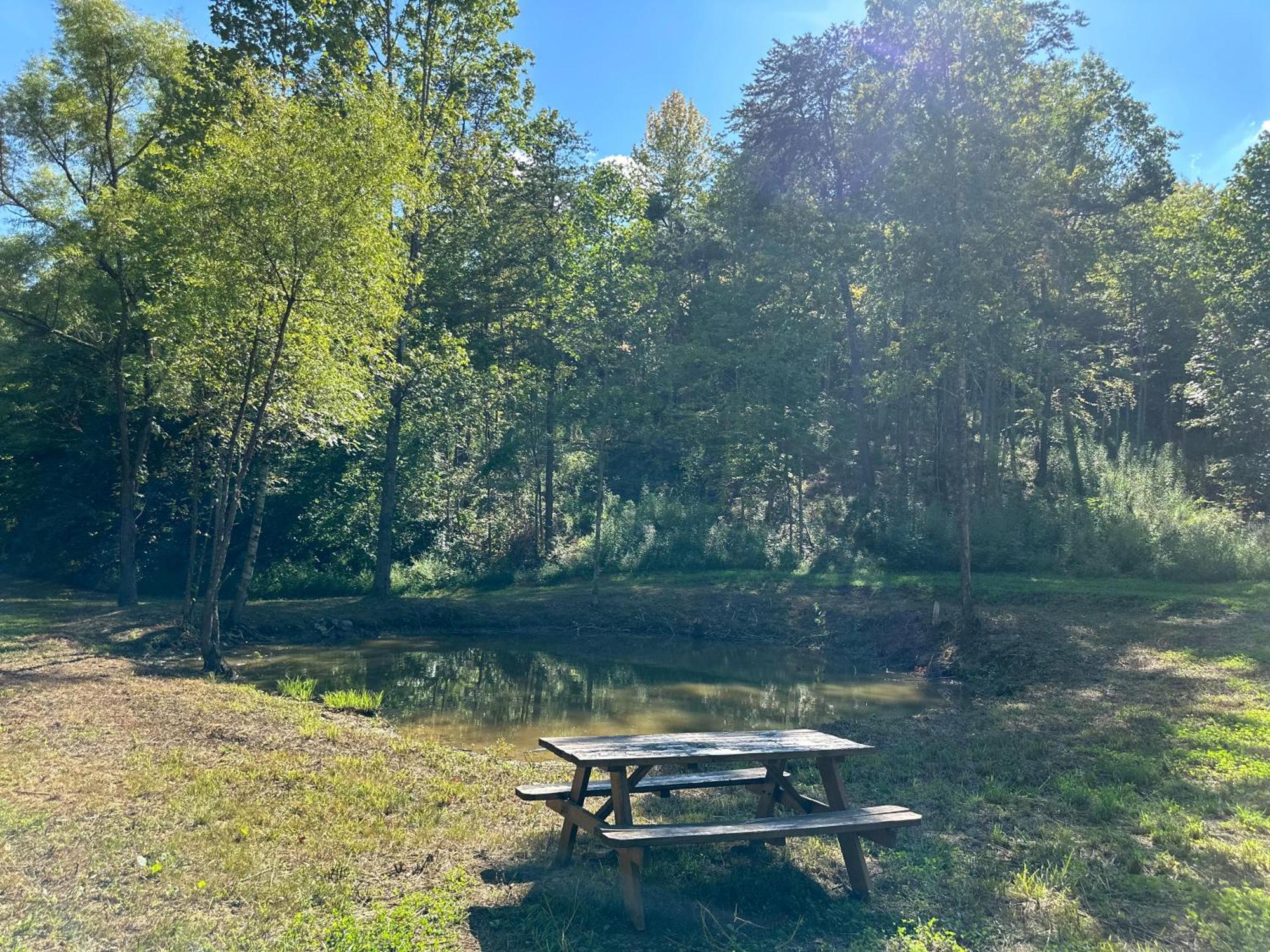 Cozy Cove Retreat W Lake View Hot Tub Firepit Дэндридж Экстерьер фото